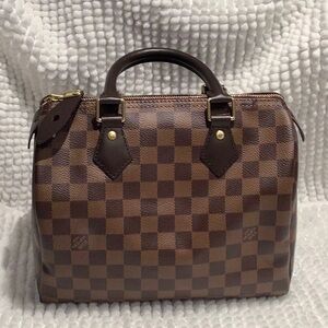 Louis Vuitton Speedy 25 Damien Even